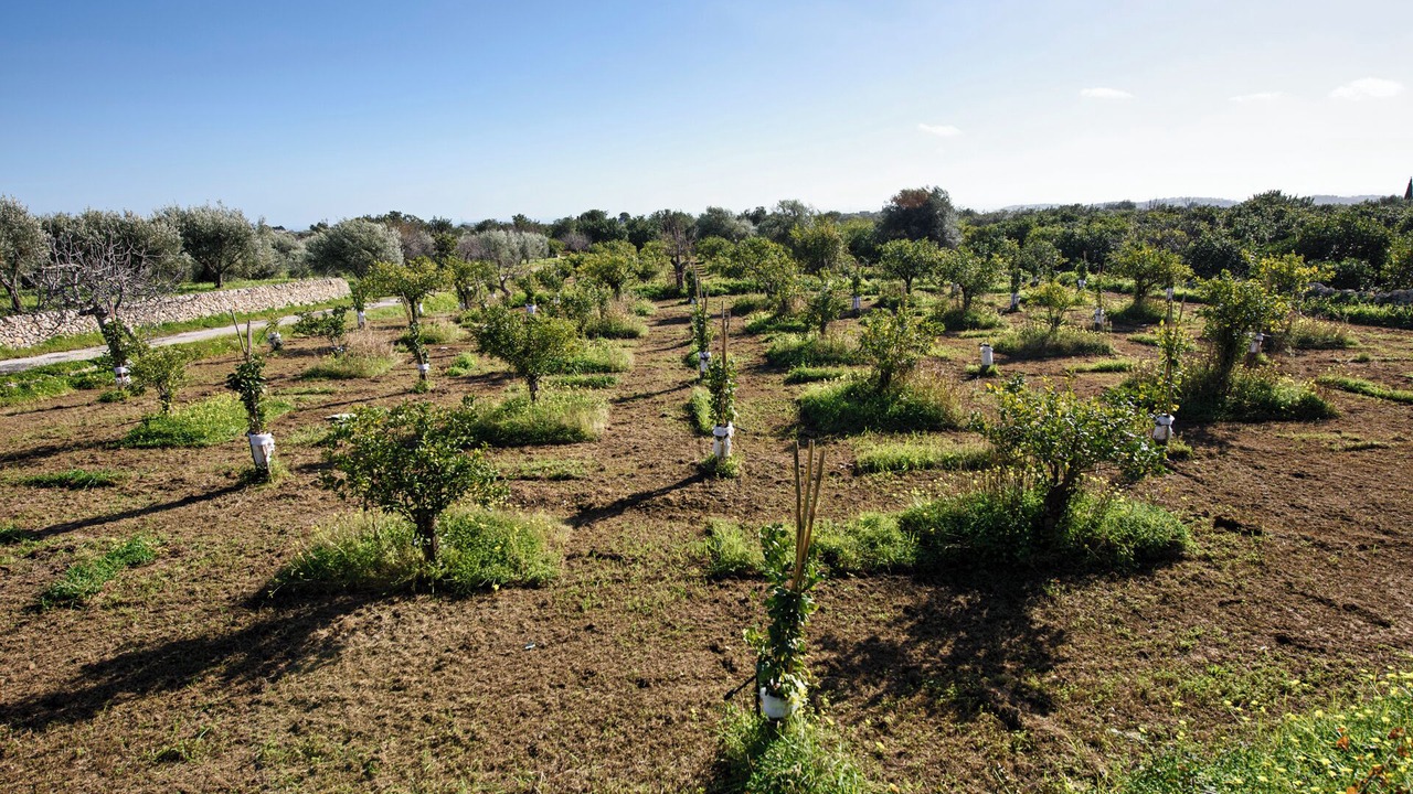 Photo of Outdoor in Noto