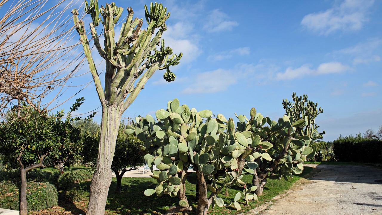 Photo of Outdoor in Noto