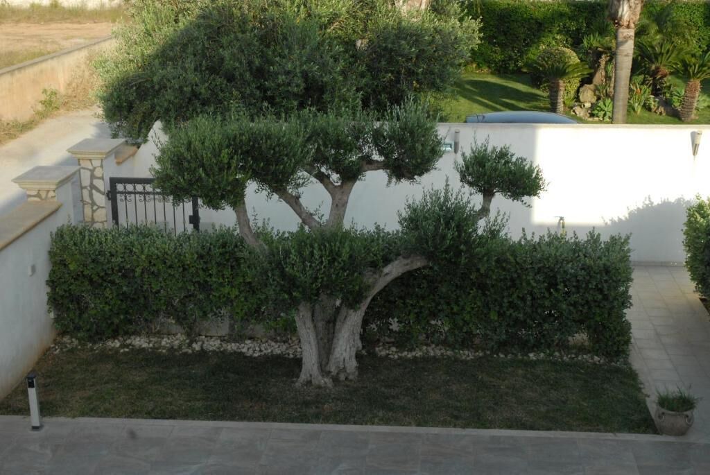 Photo of Outdoor in Mazara del Vallo