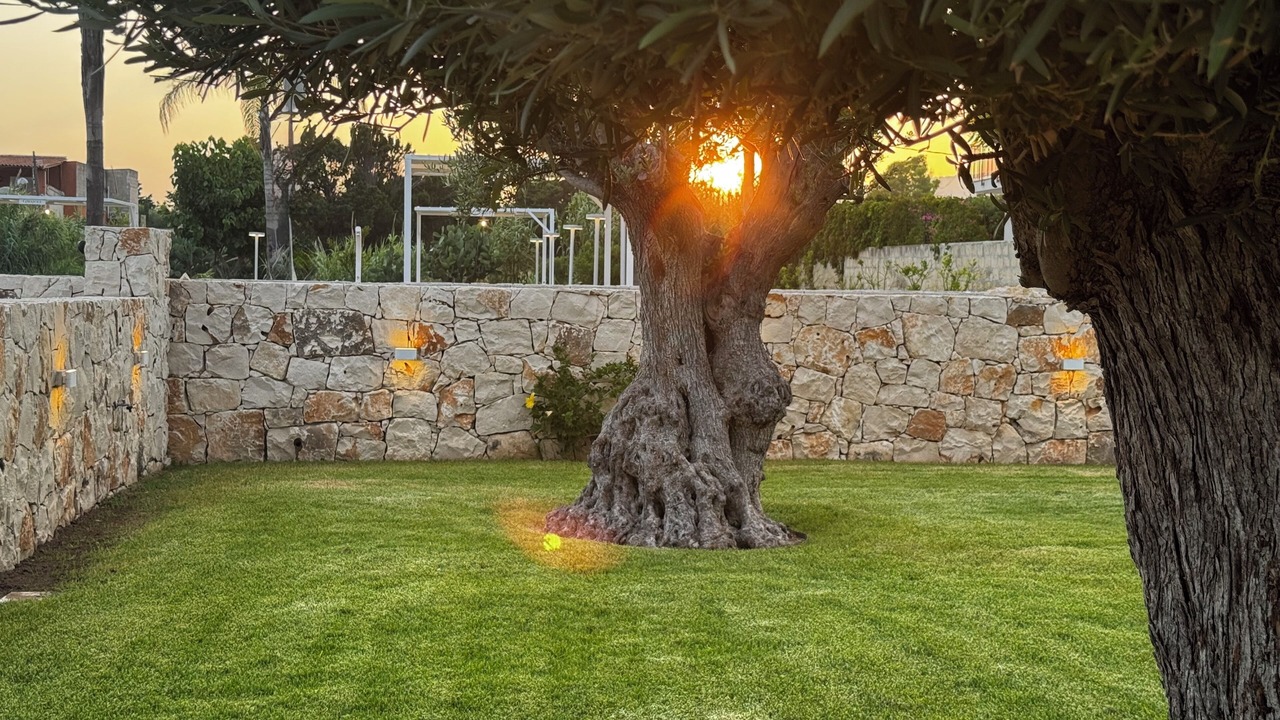 Photo of Outdoor in Avola