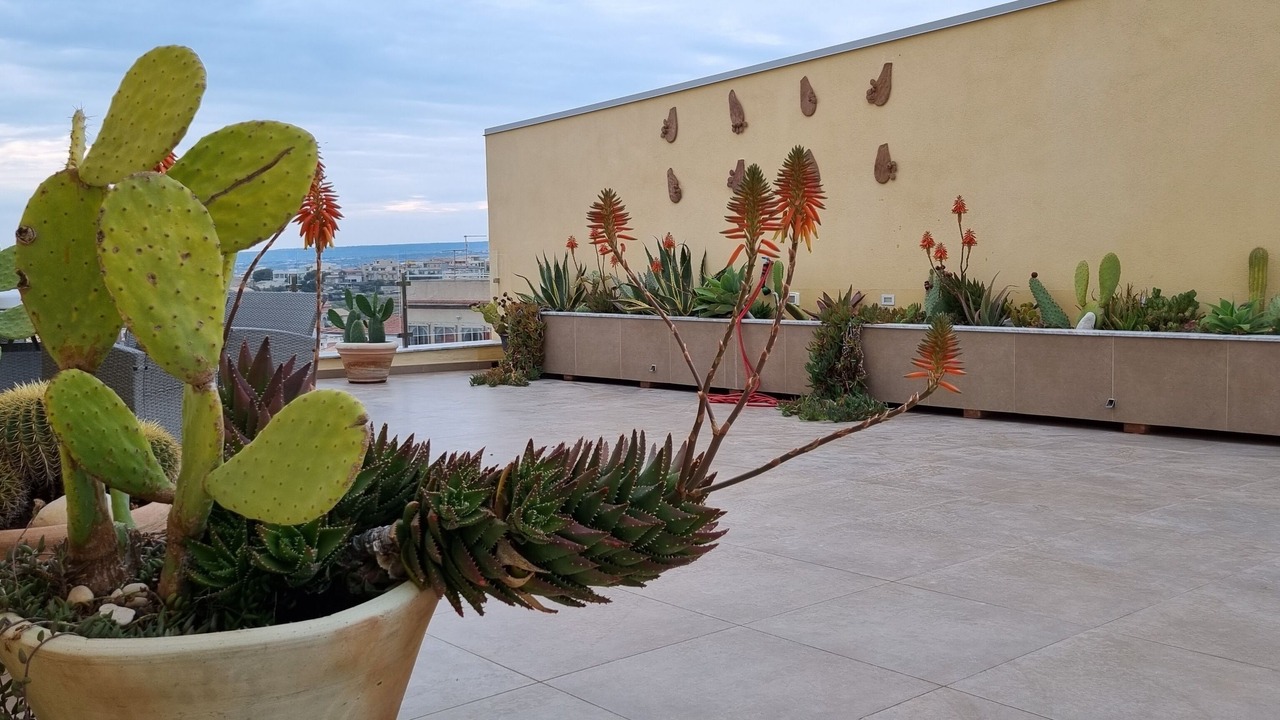 Photo of Outdoor in Cava dʼAliga