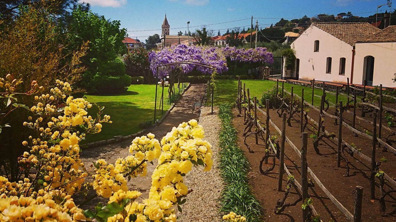 Photo of Outdoor in Trecastagni