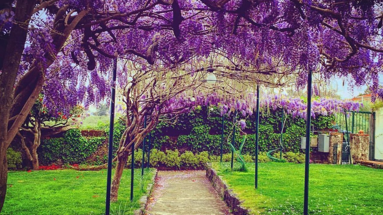Photo of Outdoor in Trecastagni