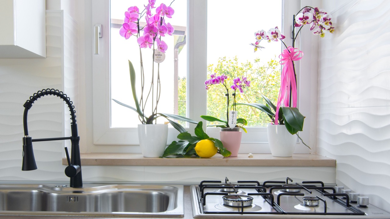 Photo of Kitchen in Rocca Imperiale