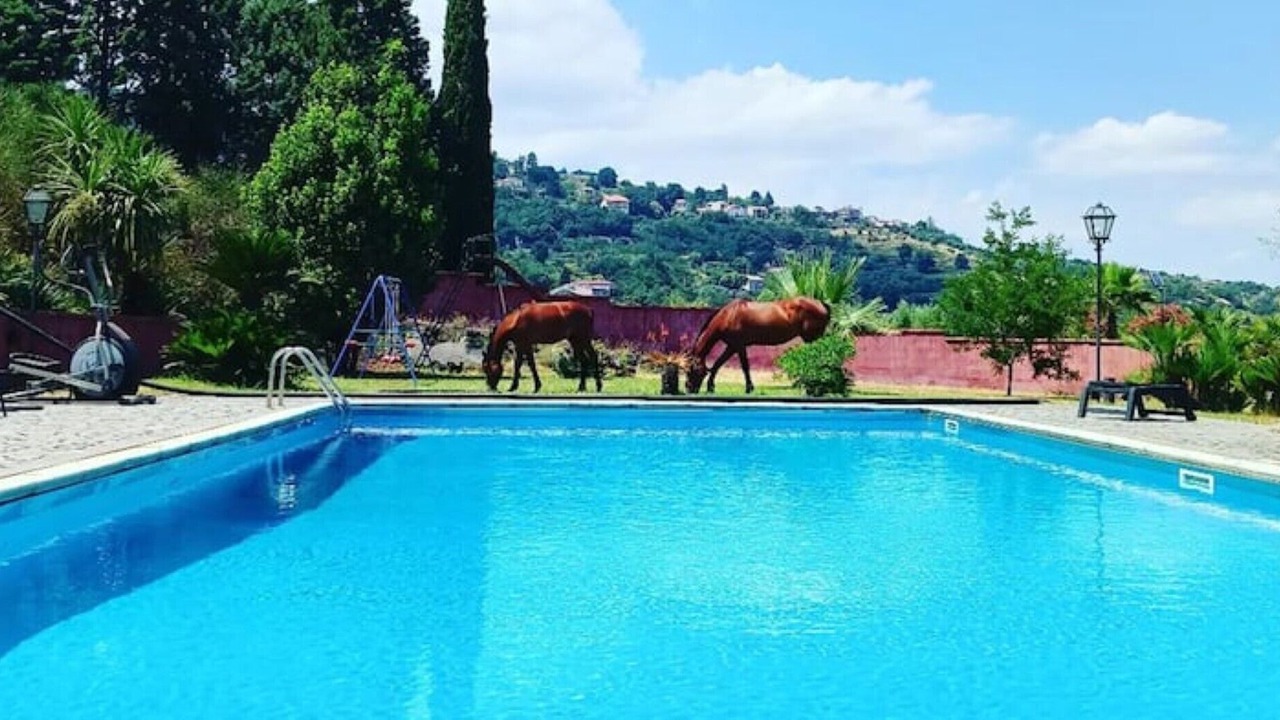 Photo of Outdoor in Puntalazzo