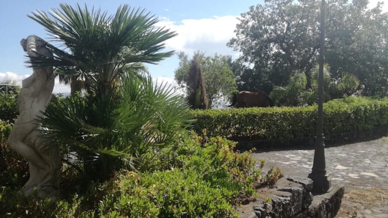 Photo of Outdoor in Puntalazzo