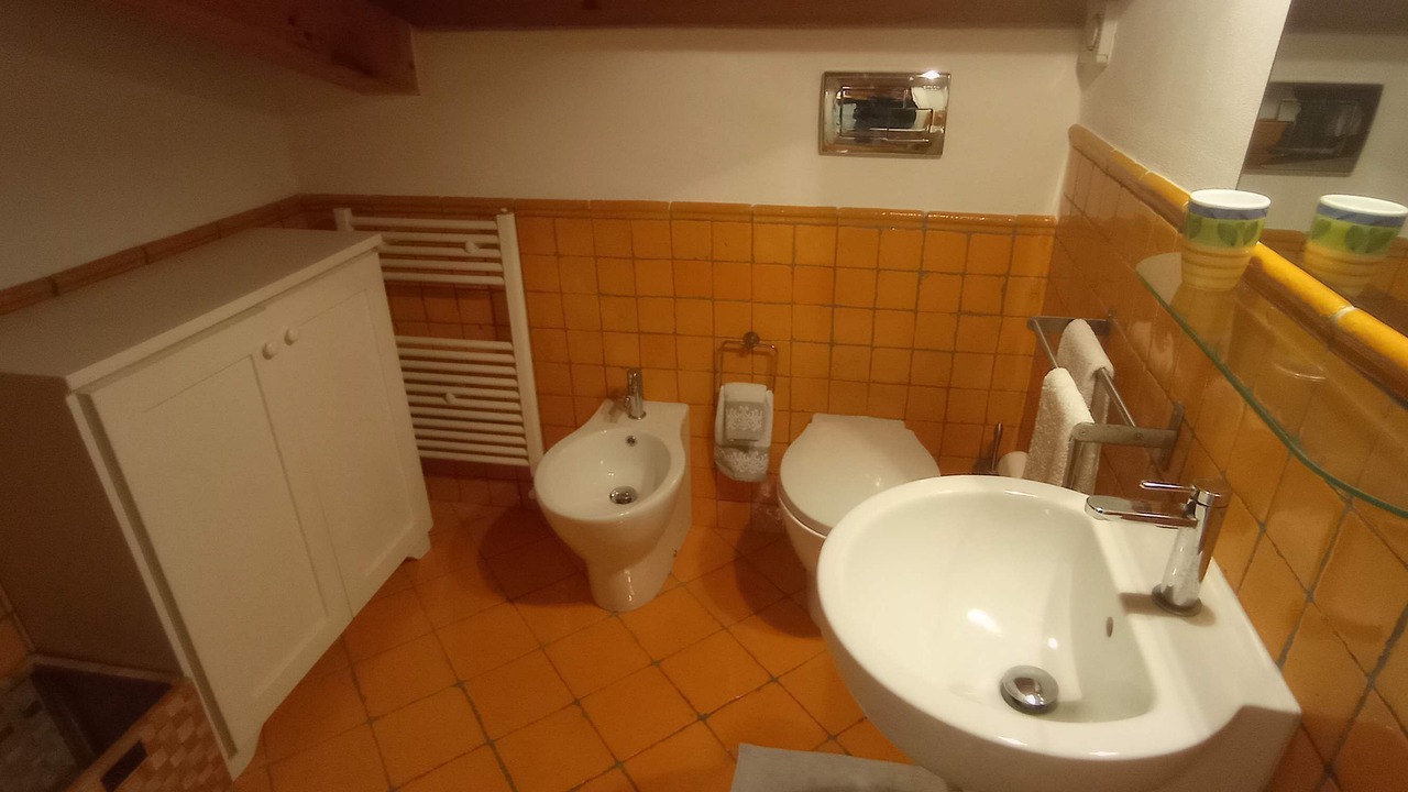 Photo of Bathroom in Lingua