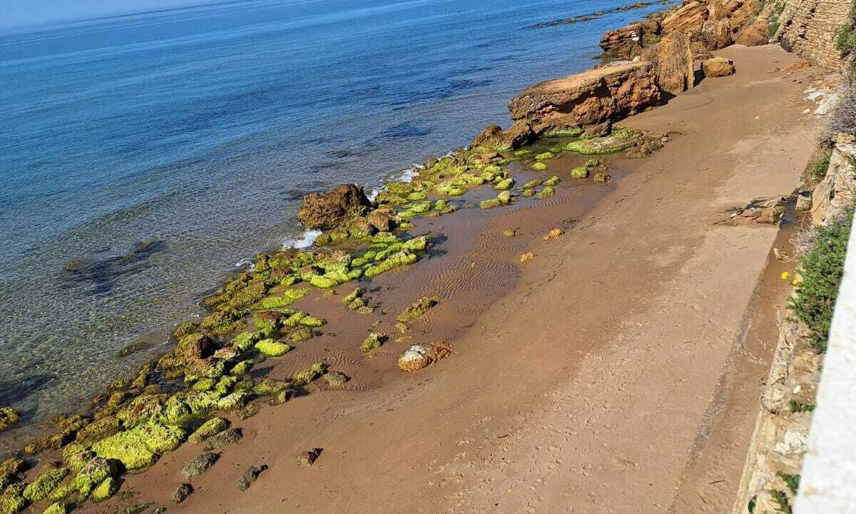 Photo of Others in Marinella di Selinunte