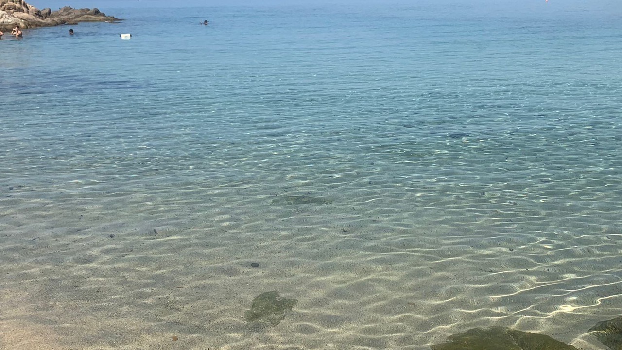 Photo of Others in Marinella di Selinunte