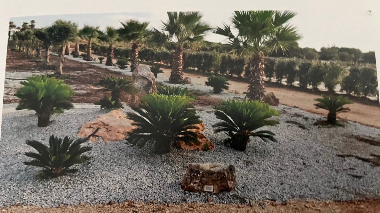 Photo of Outdoor in Favignana