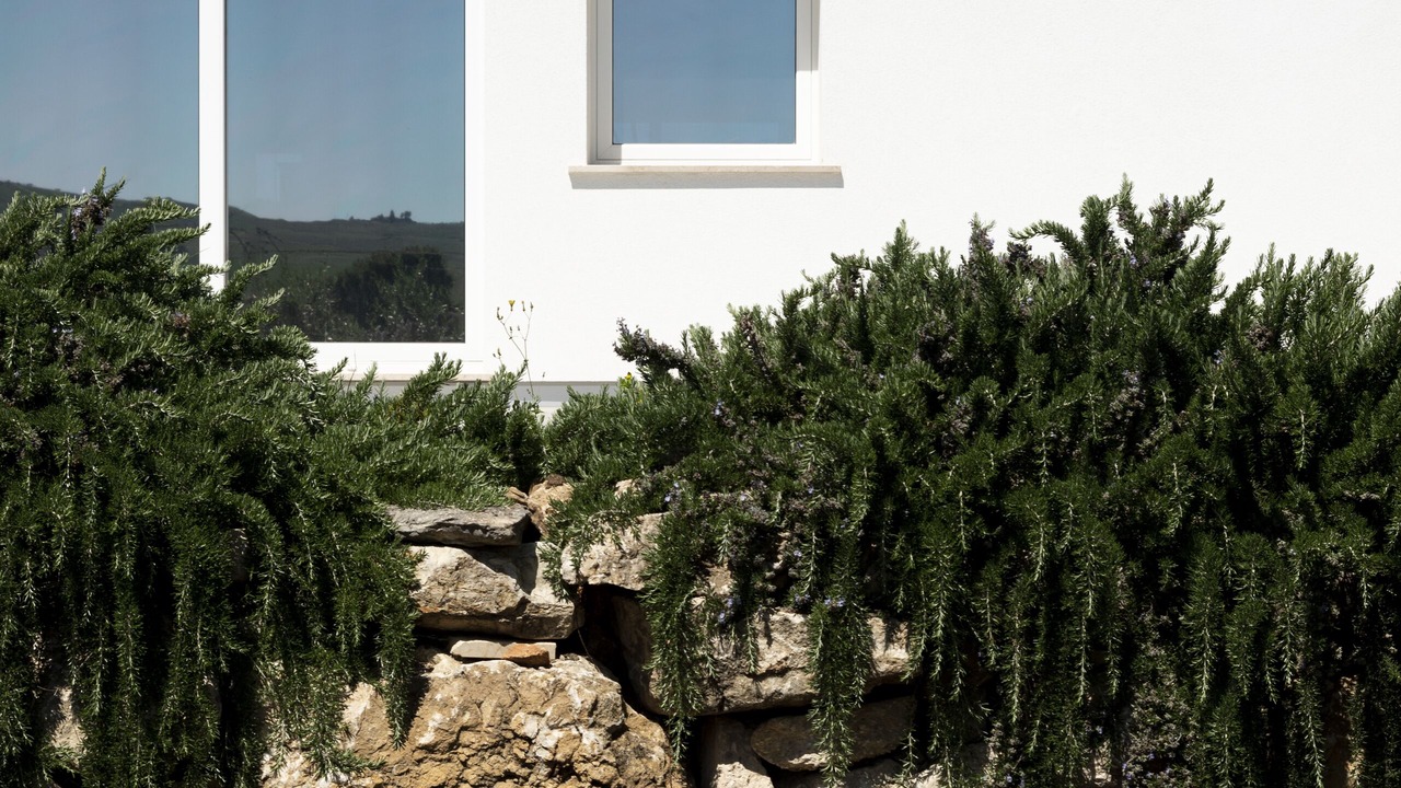 Photo of Outdoor in Buseto Palizzolo