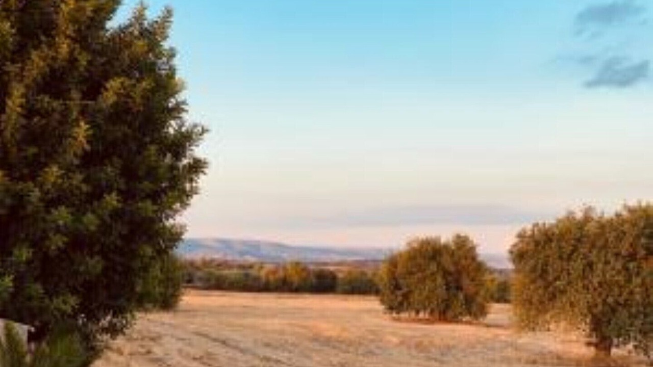 Photo of Outdoor in Rosolini