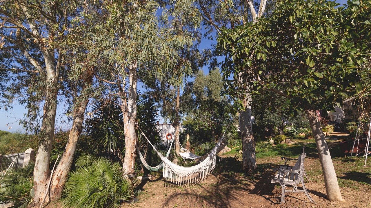 Photo of Outdoor in Cornino