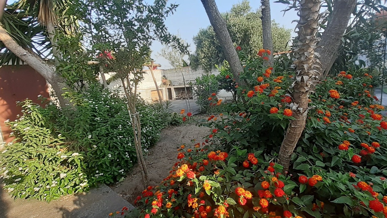 Photo of Outdoor in Carlentini