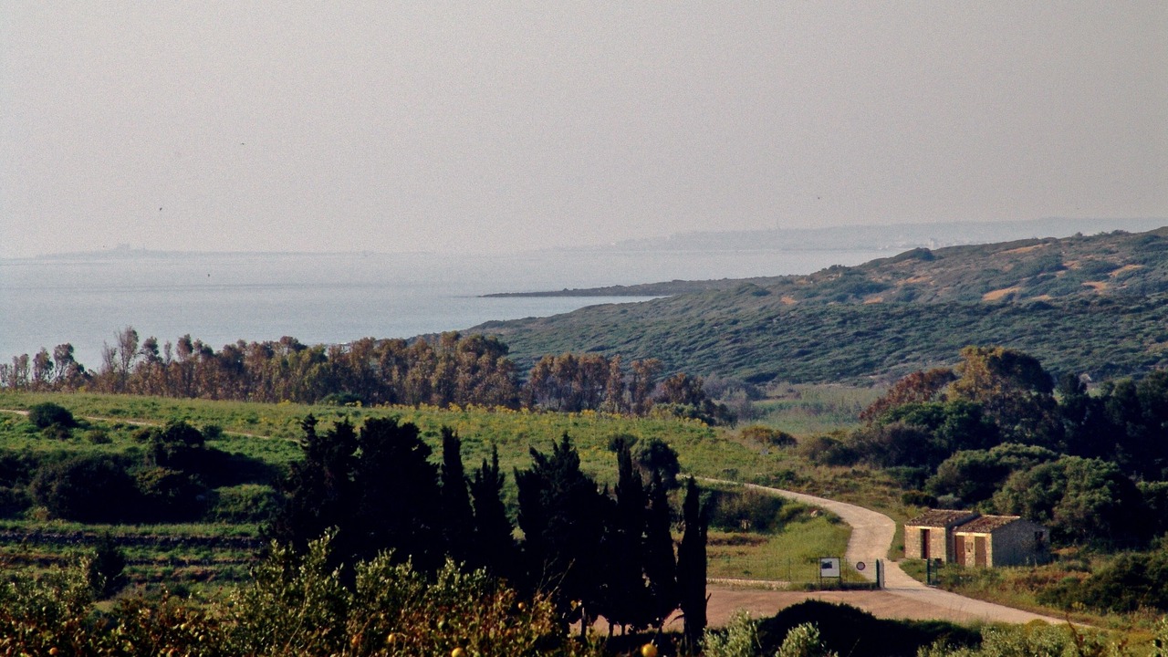 Photo of Others in Noto