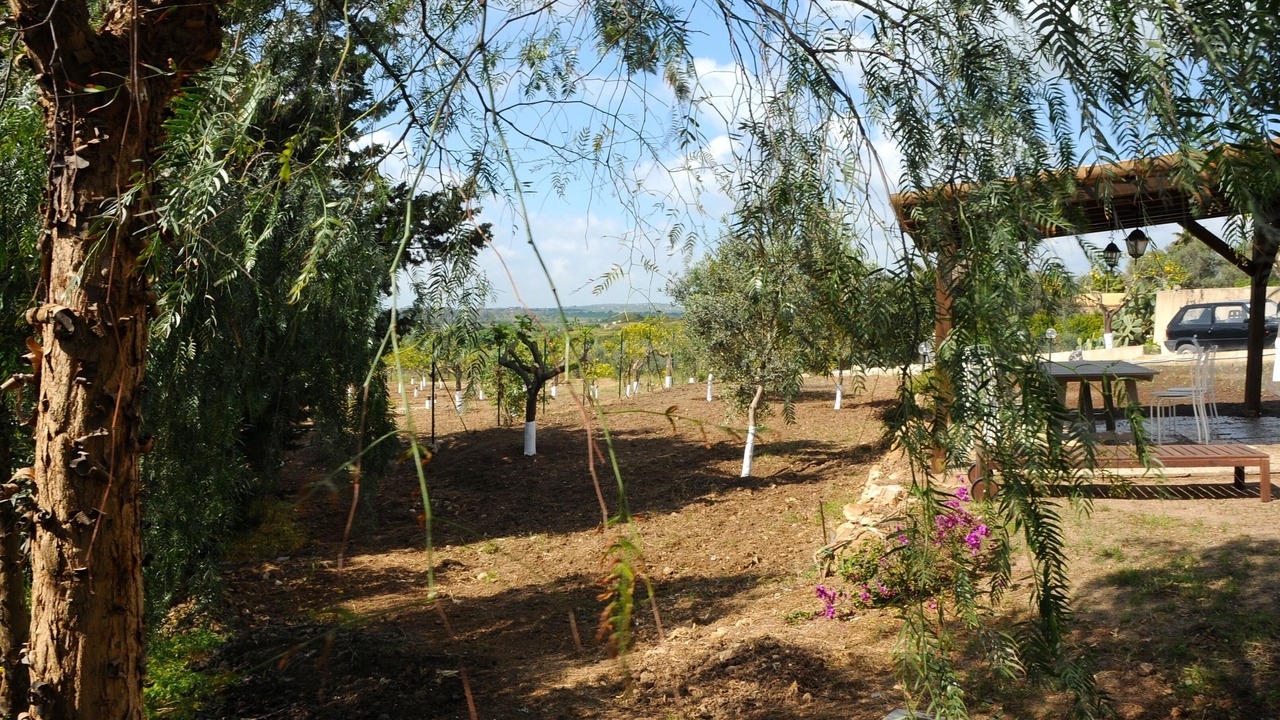Photo of Outdoor in Noto