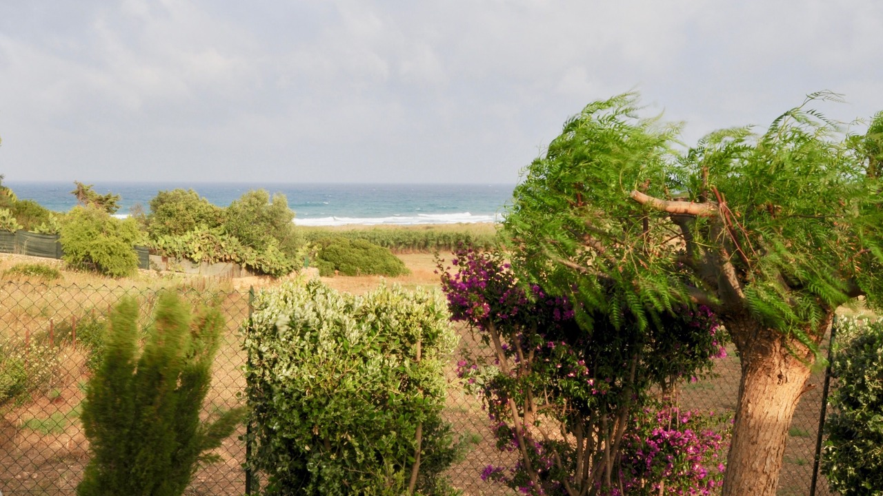 Photo of Outdoor in Noto
