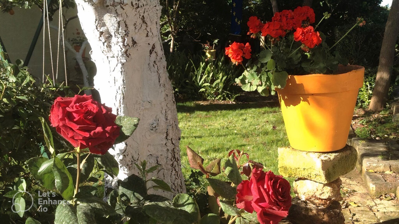 Photo of Outdoor in Marsala