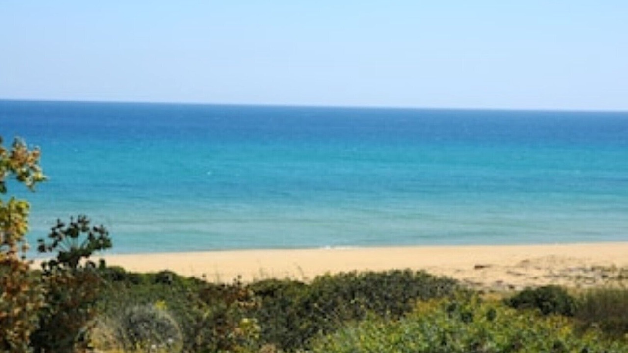 Photo of Others in Noto