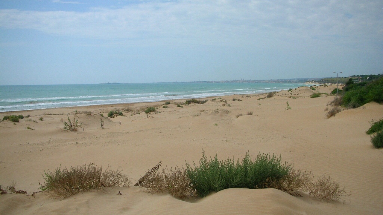 Photo of Others in Ispica