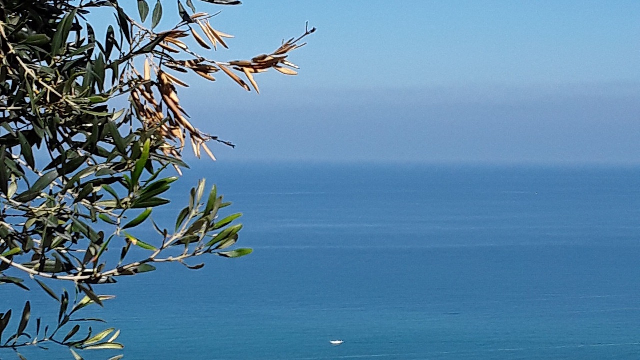 Photo of Others in Province of Messina