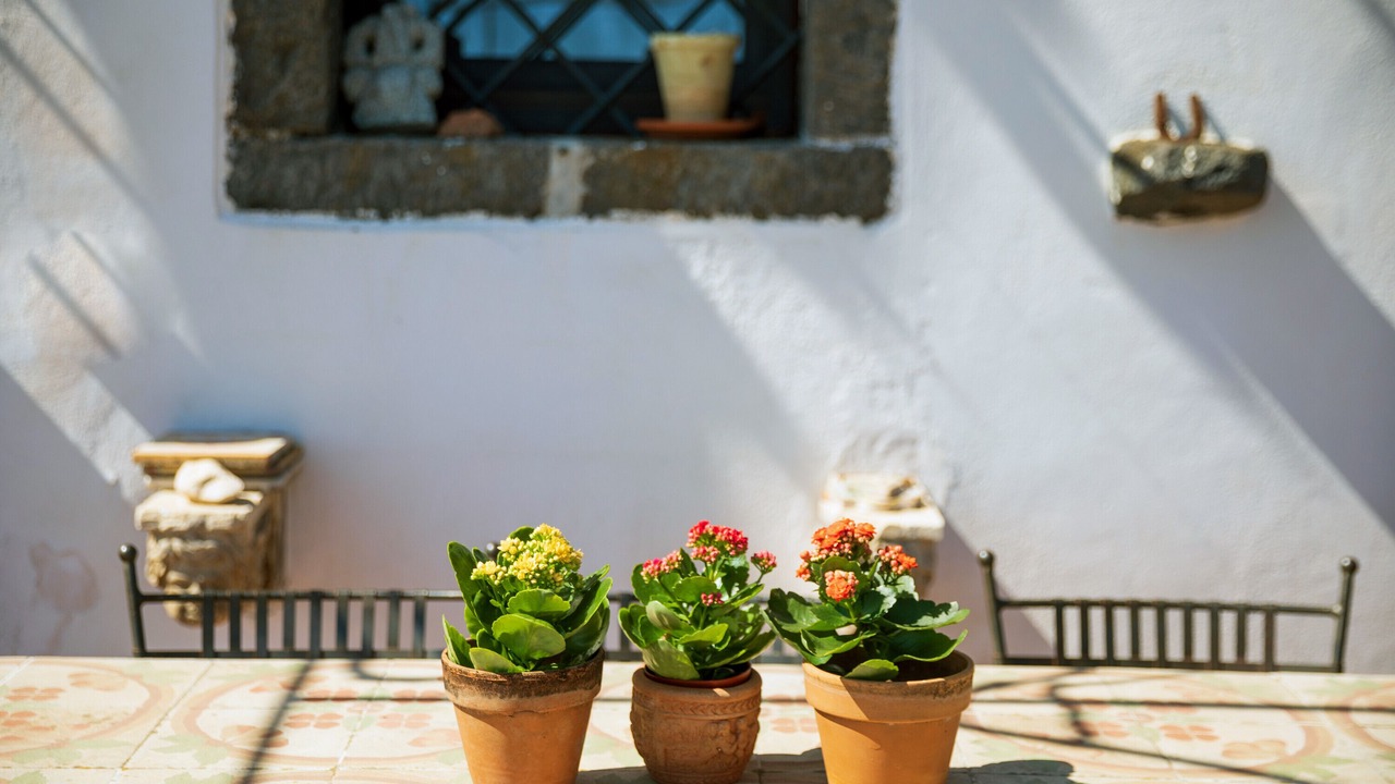 Photo of Outdoor in Piedimonte Etneo