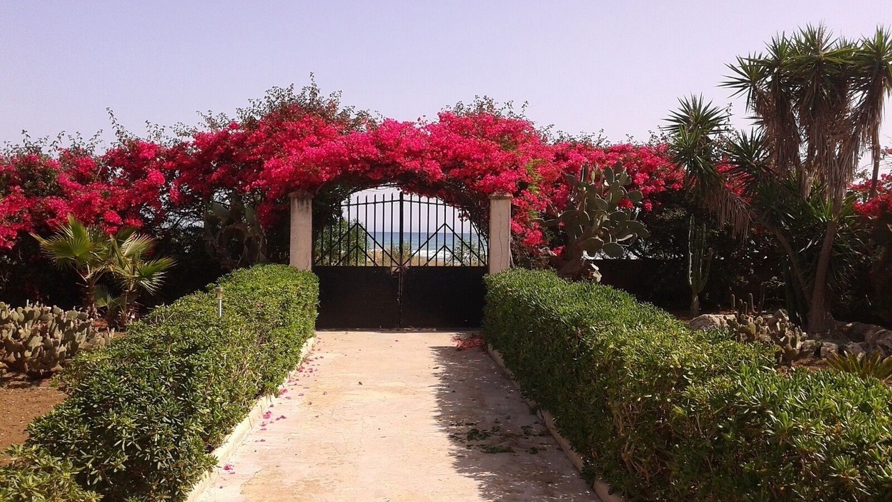 Photo of Outdoor in Granelli