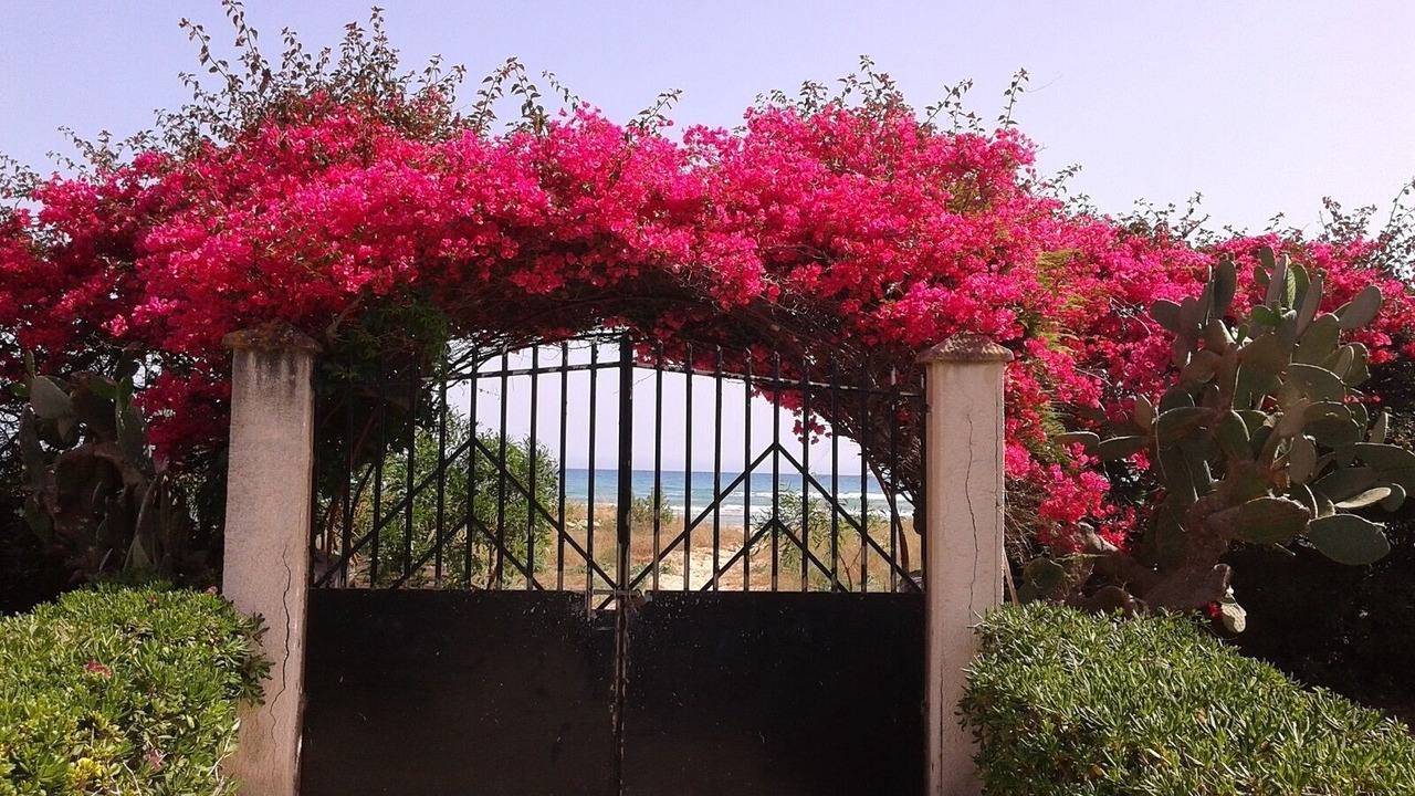 Photo of Outdoor in Granelli