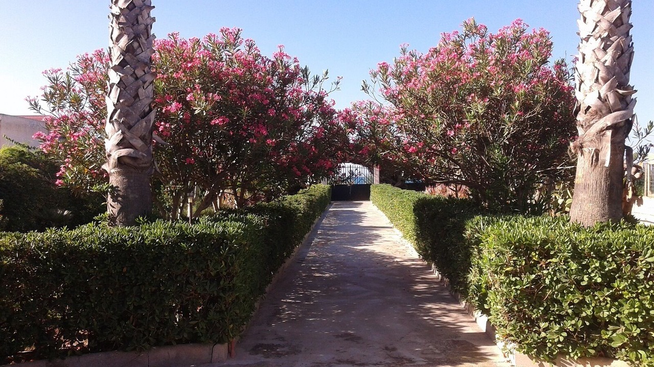 Photo of Outdoor in Granelli