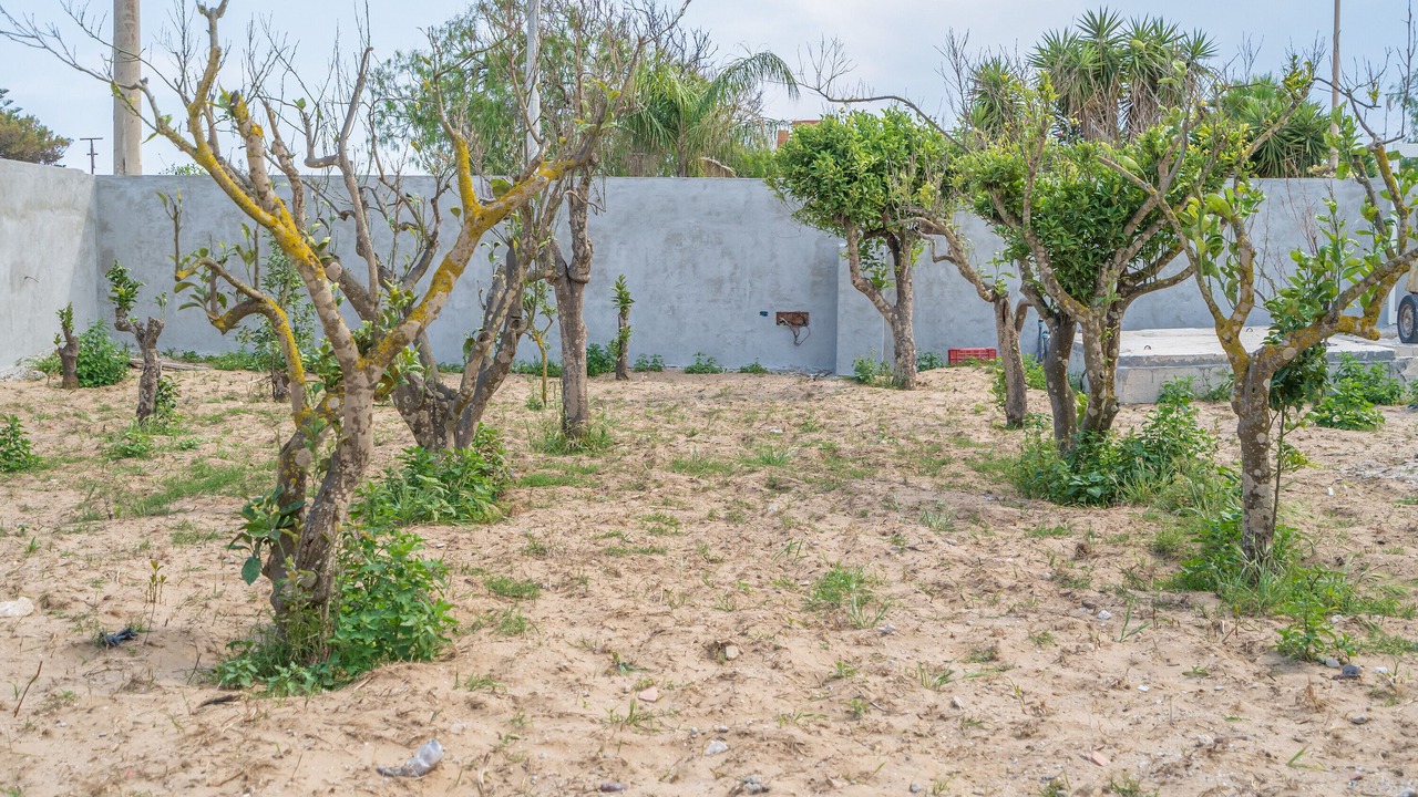 Photo of Outdoor in Granelli