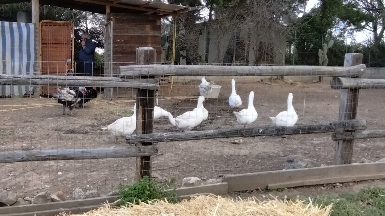 Photo of Others in Santa Maria