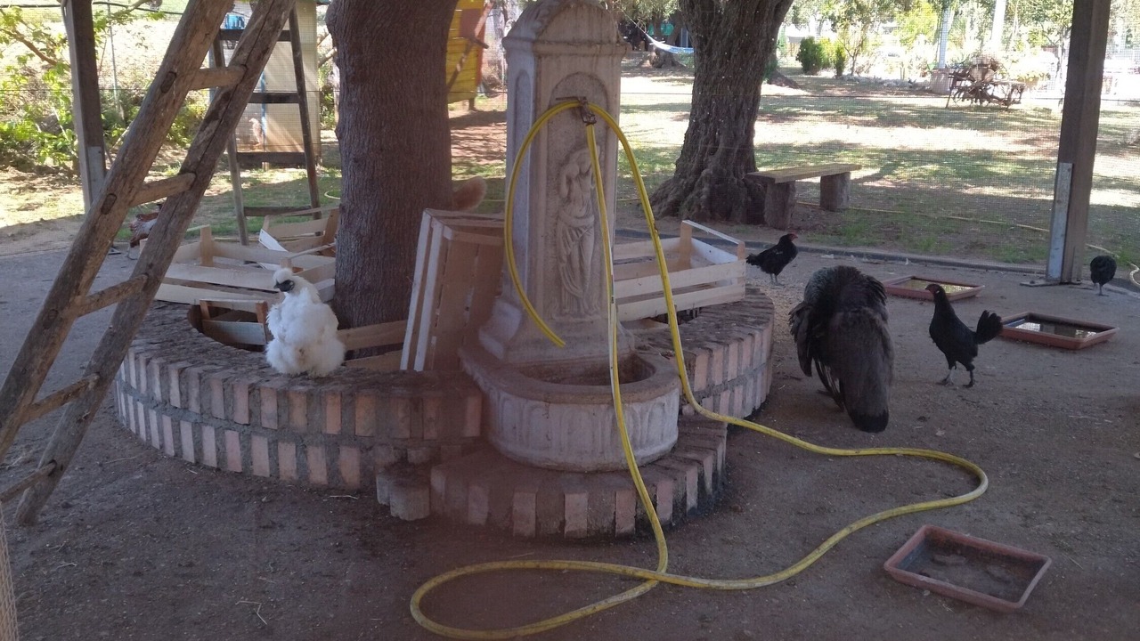 Photo of Outdoor in Santa Maria