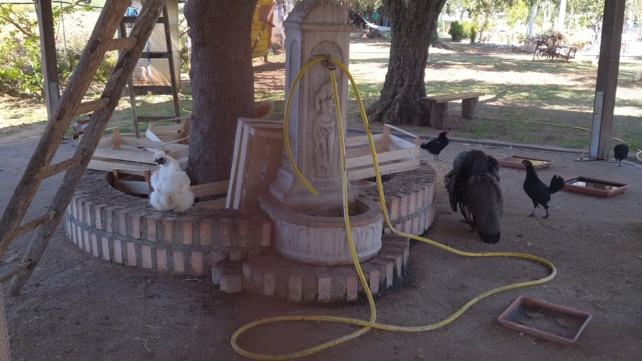 Photo of Outdoor in Santa Maria