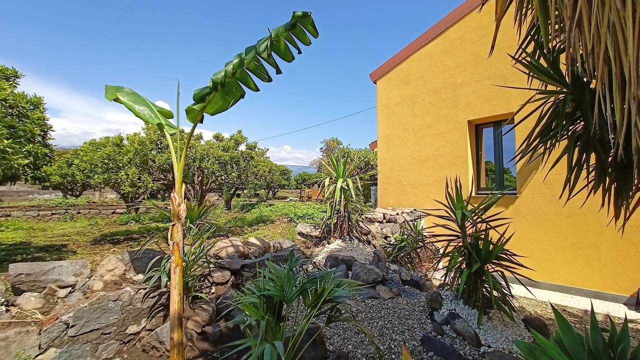 Photo of Outdoor in Archi