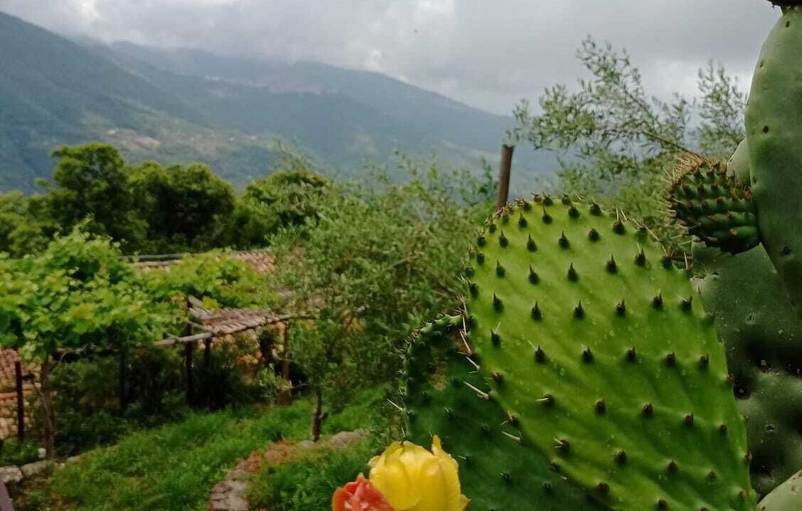 Photo of Outdoor in Castell'Umberto