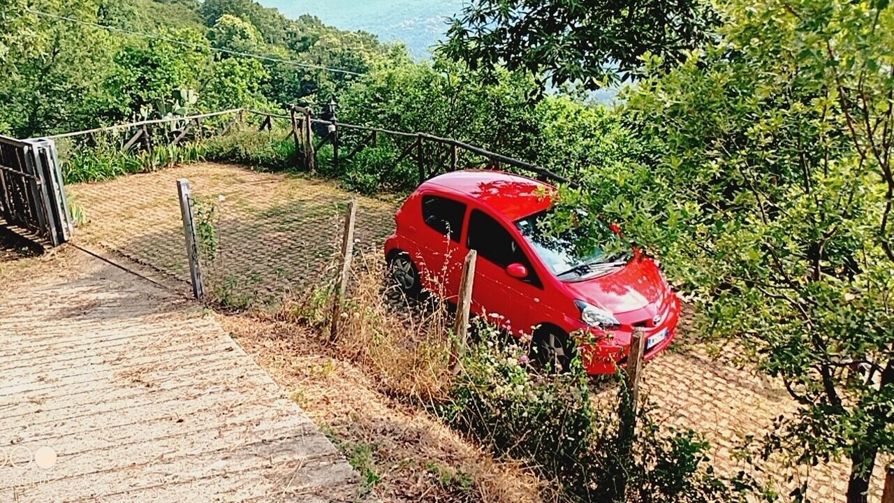 Photo of Outdoor in Castell'Umberto