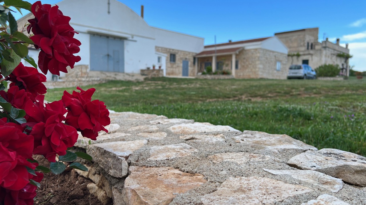 Photo of Outdoor in Santeramo in Colle