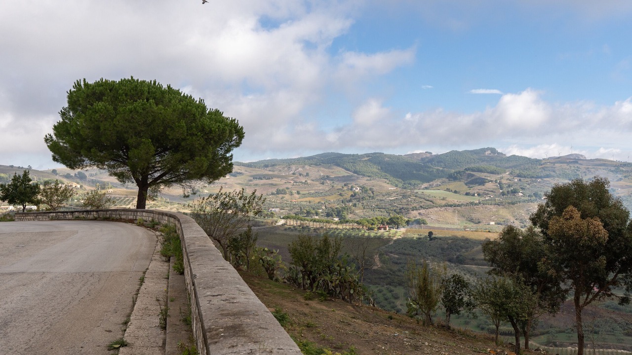 Photo of Others in Santa Ninfa