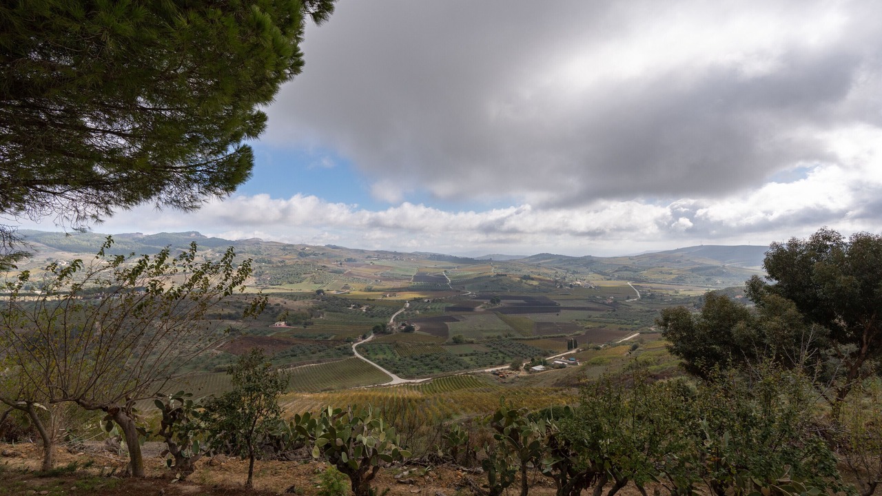 Photo of Others in Santa Ninfa