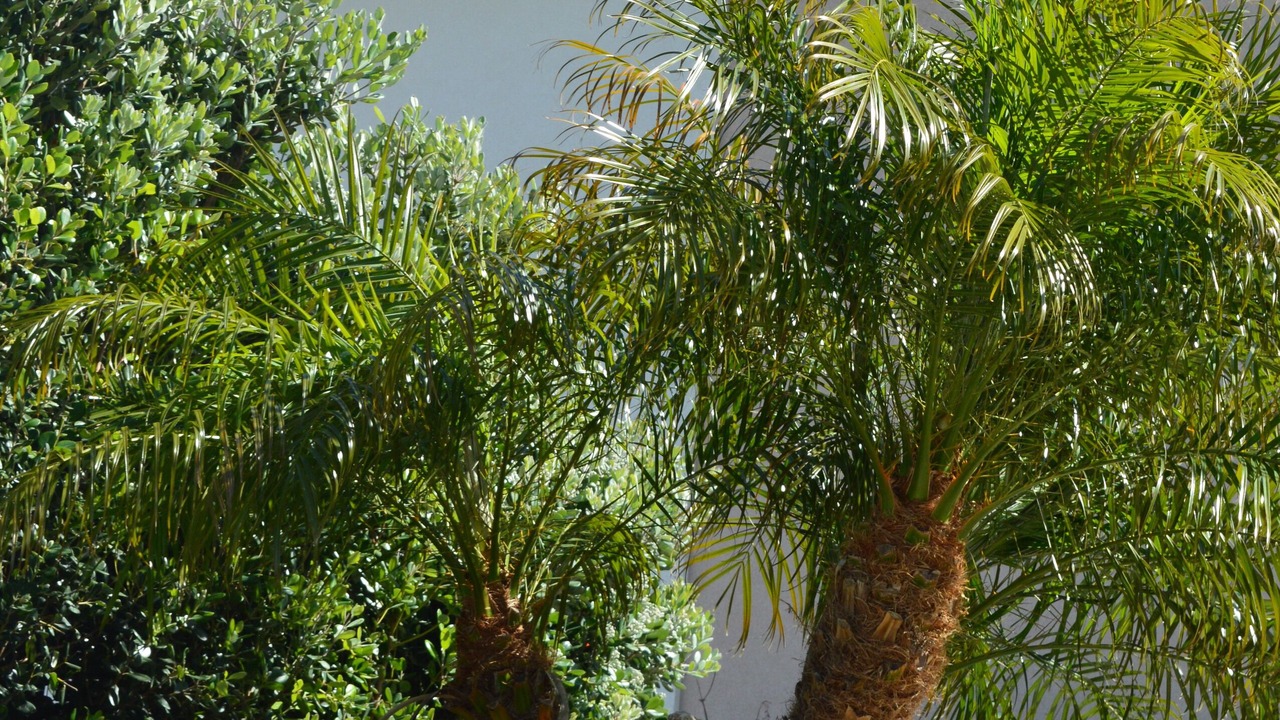 Photo of Outdoor in Province of Messina