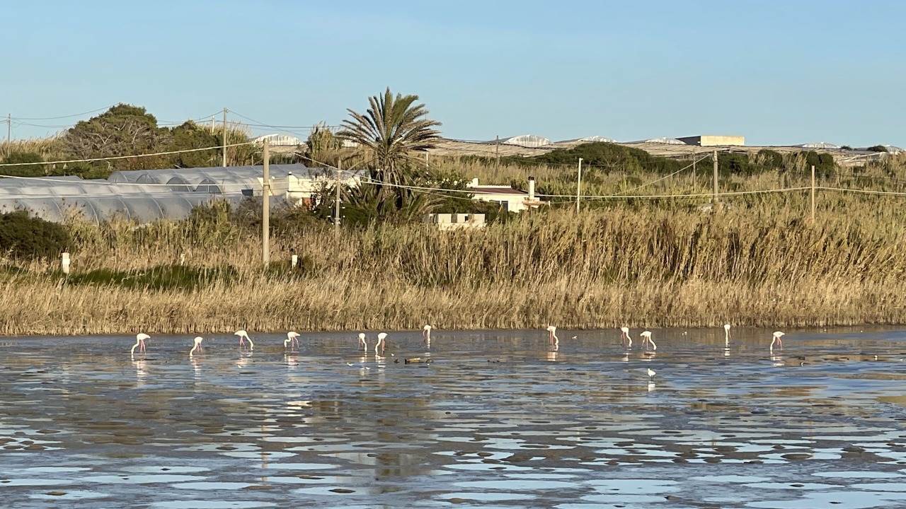Photo of Others in Eastern Sicily