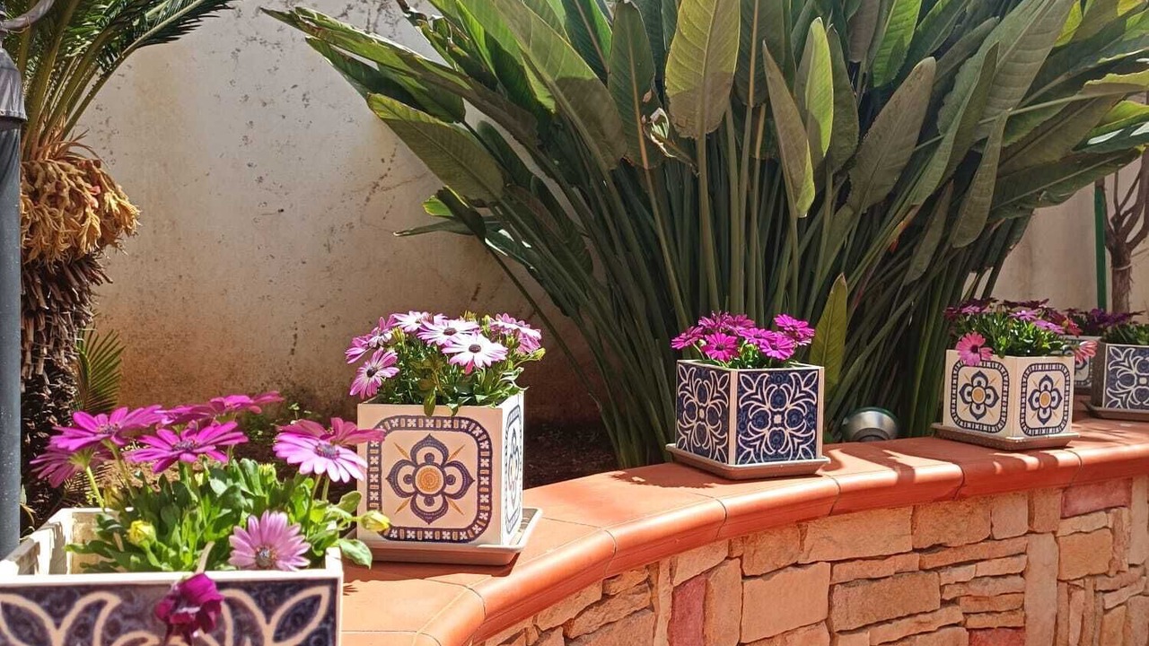 Photo of Outdoor in Partanna