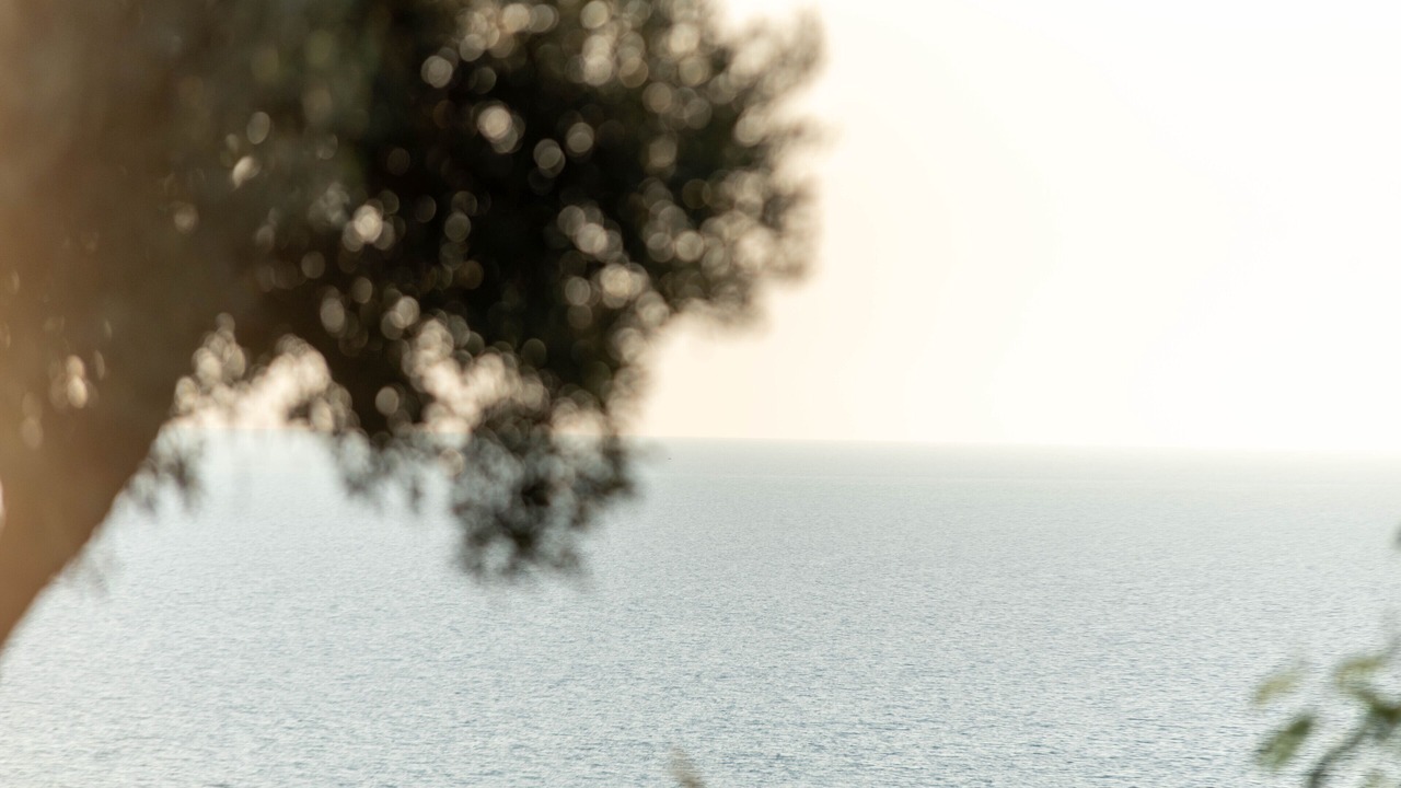 Photo of Others in Borgo Bonsignore