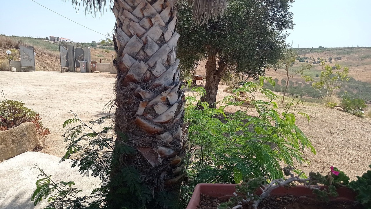Photo of Outdoor in Borgo Bonsignore