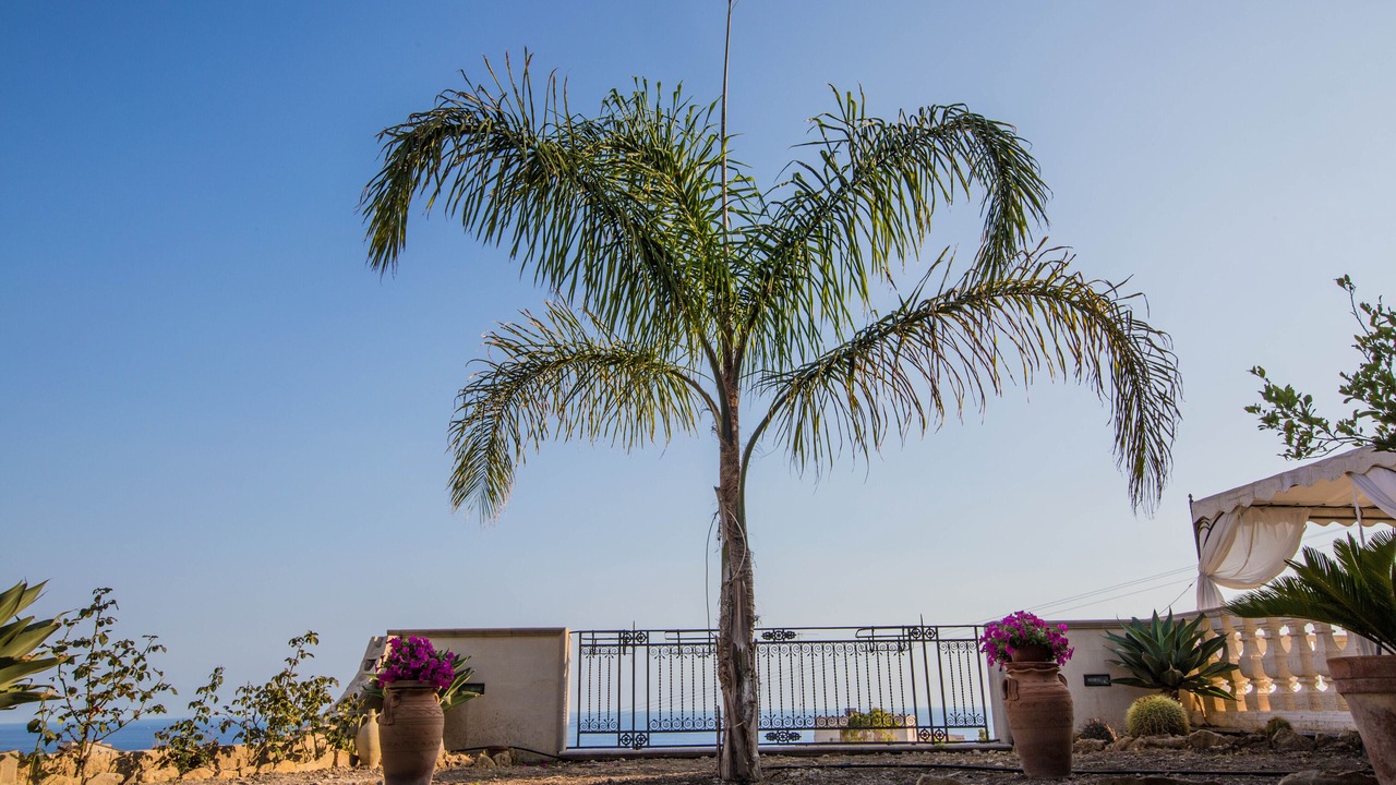 Photo of Outdoor in Palma di Montechiaro