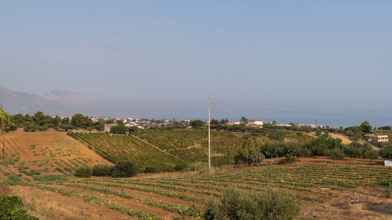 Photo of Others in Alcamo