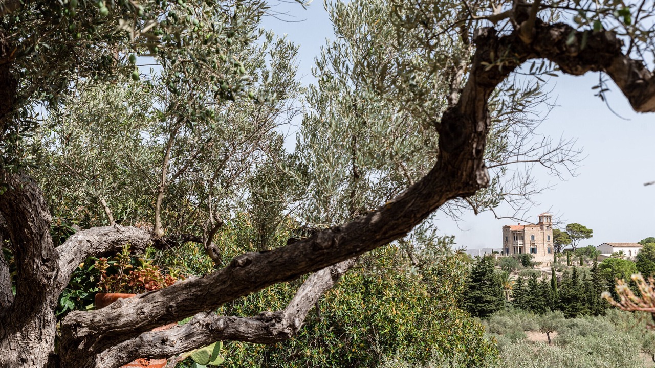 Photo of Others in Licata