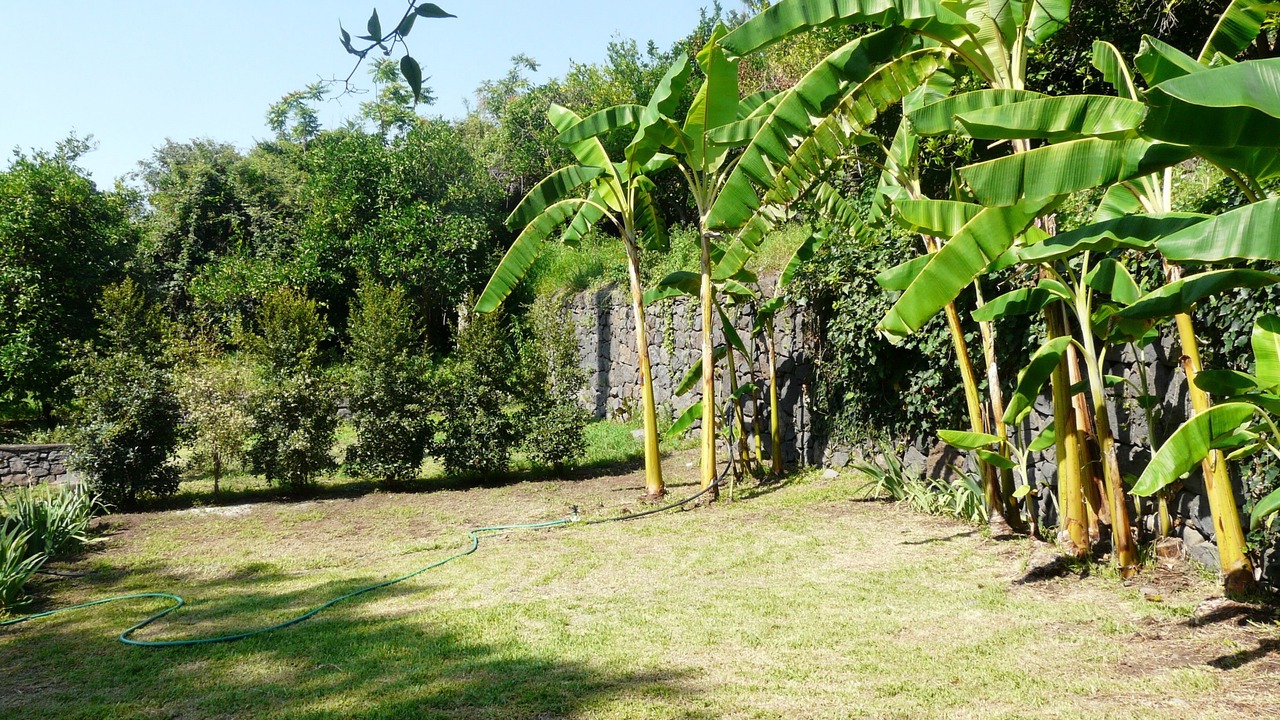 Photo of Outdoor in Archi