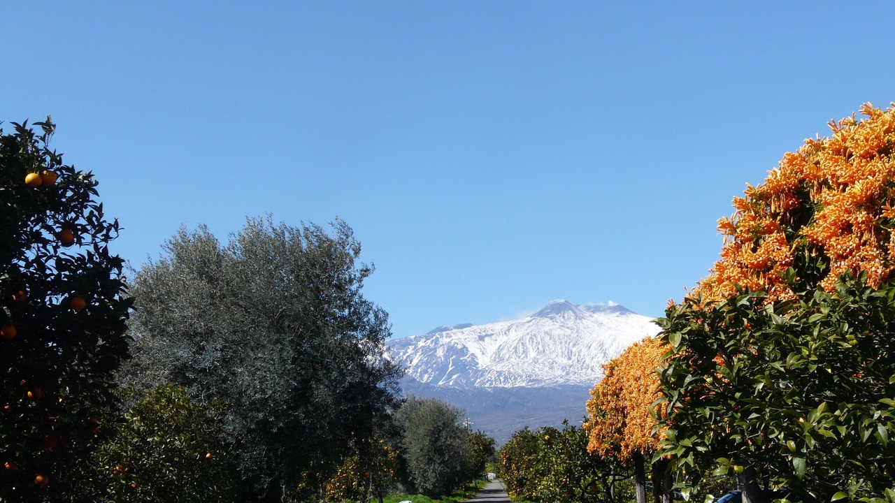 Photo of Outdoor in Praiola