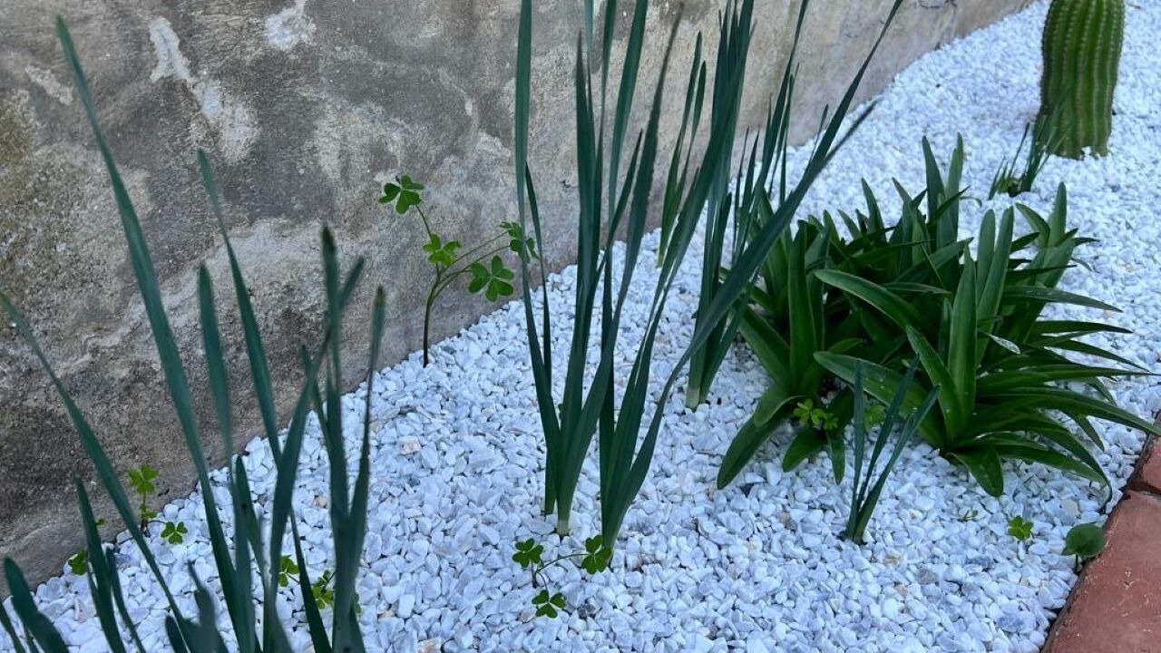 Photo of Outdoor in Sant'Onofrio